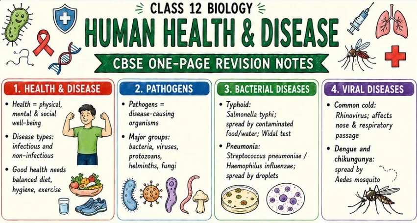 CBSE Class 12 Biology one-page revision notes on Human Health and Disease, covering health and disease types, pathogens, bacterial diseases such as typhoid and pneumonia
