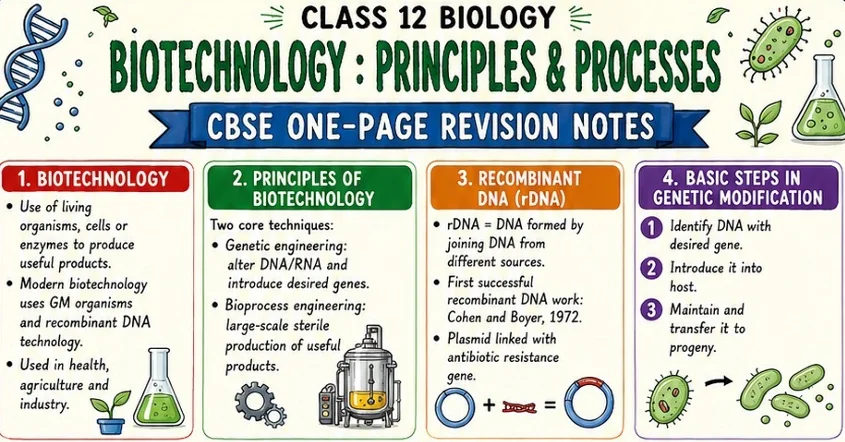 CBSE Class 12 Biology one-page revision notes on Biotechnology: Principles and Processes, covering genetic engineering, bioprocess engineering
