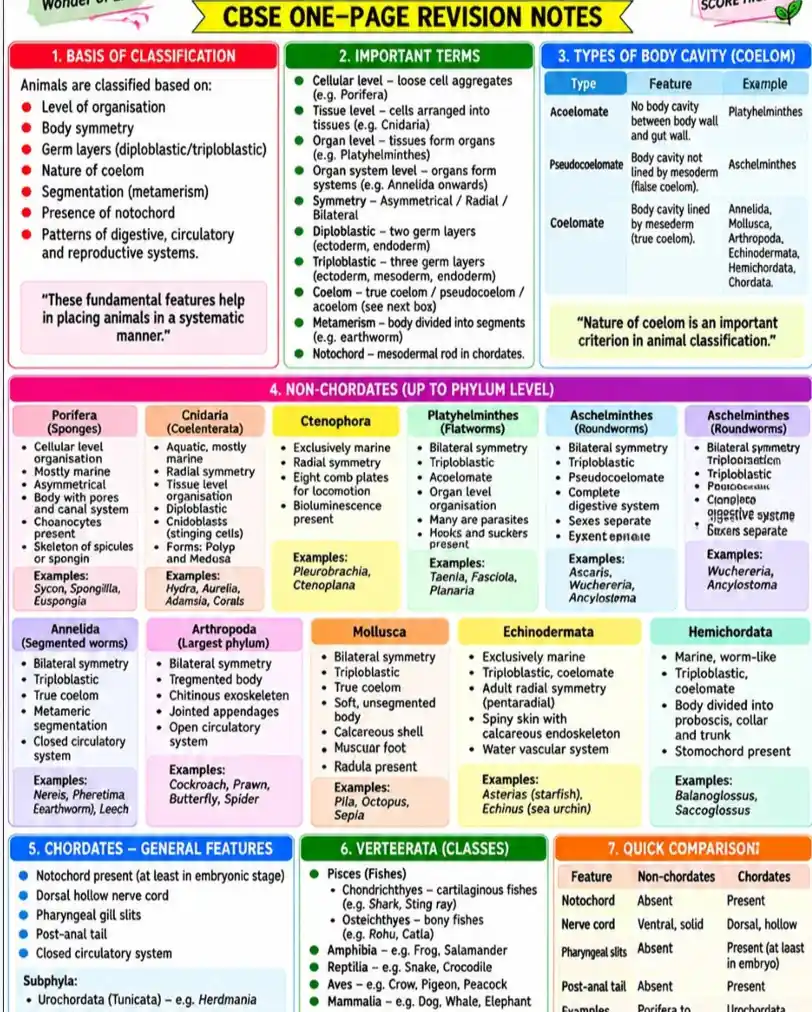 CBSE one-page Biology revision notes on Animal Kingdom, covering classification, coelom types, non-chordate phyla, chordates, vertebrate classes, and key comparisons.