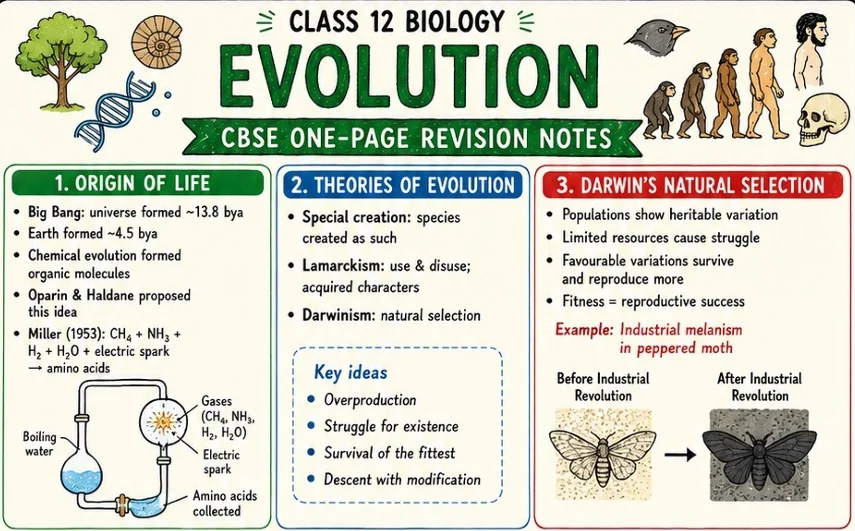 CBSE Class 12 Biology one-page revision notes on Evolution, covering the origin of life, theories of evolution, Lamarckism, Darwinism