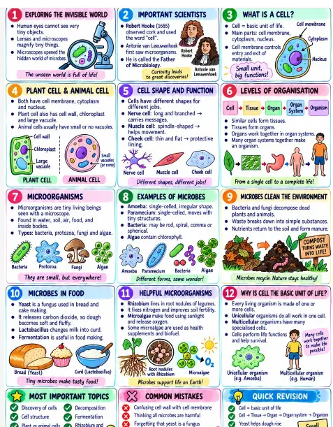 CBSE Class 8 Science one-page revision notes on microorganisms, cells, plant and animal cells, cell structure