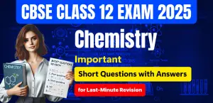 Self Studies