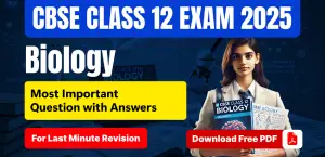 Self Studies
