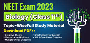 Self Studies
