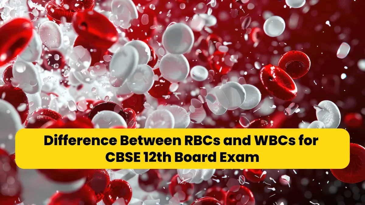 Difference Between RBCs and WBCs for CBSE 12th Board Exam