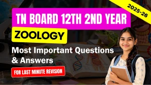 TN Board 12th 2nd Year Zoology 2025-26: Most Important Questions & Answers for Last Minute Revision