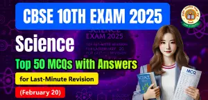 Self Studies