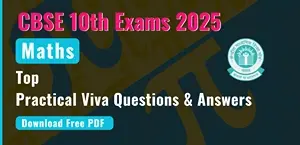 Self Studies