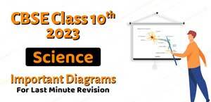 Self Studies